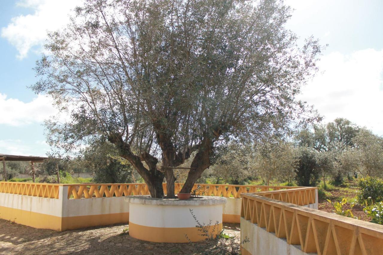 Montinho Do Palanque Villa Viana do Alentejo Exteriör bild