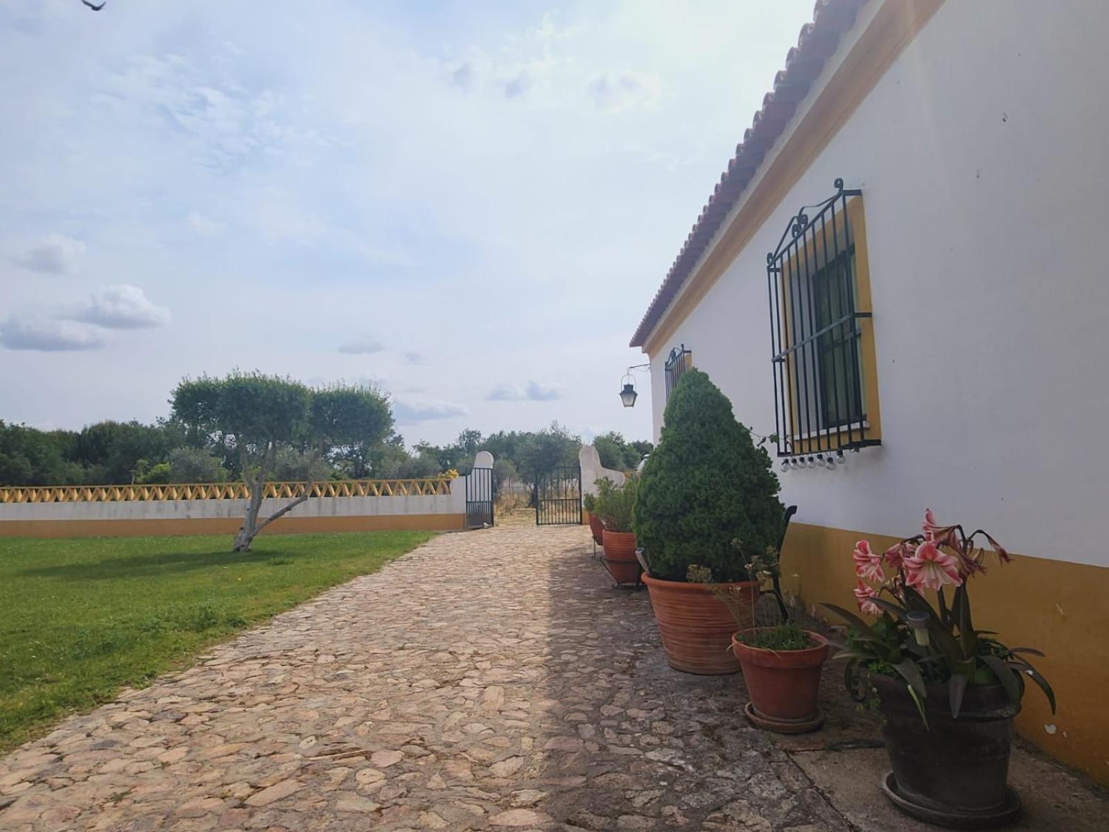 Montinho Do Palanque Villa Viana do Alentejo Exteriör bild