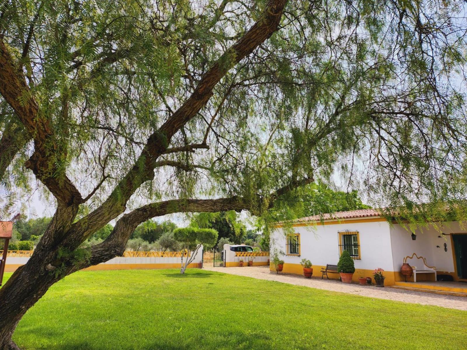 Montinho Do Palanque Villa Viana do Alentejo Exteriör bild