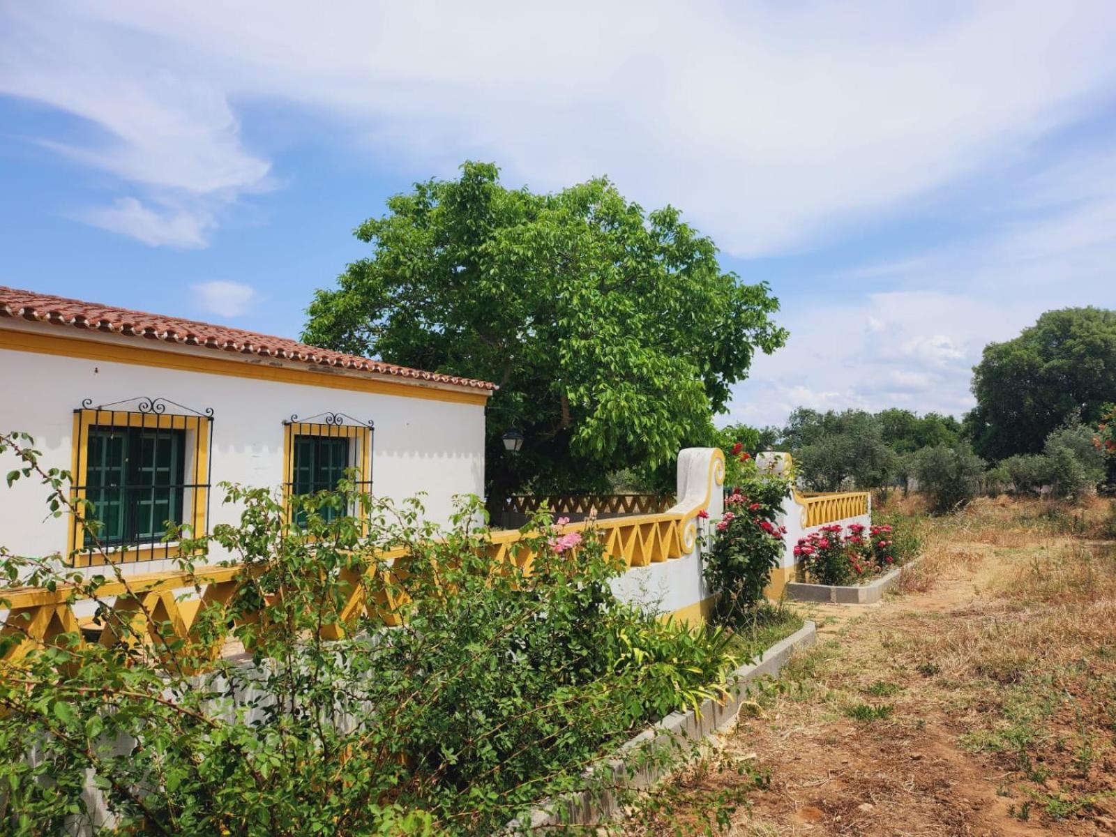 Montinho Do Palanque Villa Viana do Alentejo Exteriör bild